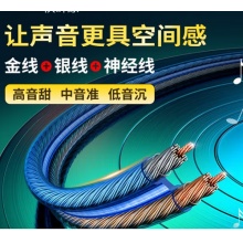 音频线