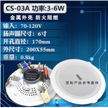 CS-03A吸顶音箱